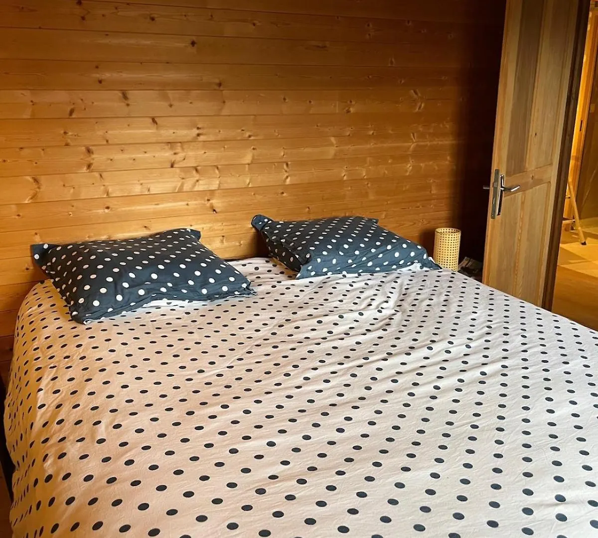 Chalet, Vue Sur La Vallee, Domaine Skiable Grand Massif Morillon Chalet