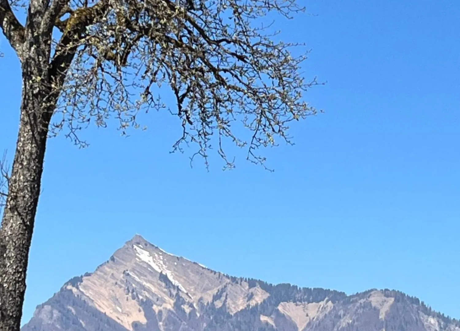 Chalet Chalet, Vue Sur La Vallee, Domaine Skiable Grand Massif Morillon